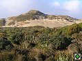 thn_Steward Island 017.jpg